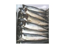 Скумбрия провесная б/г ООО "Рыбартель" Первое Мая"